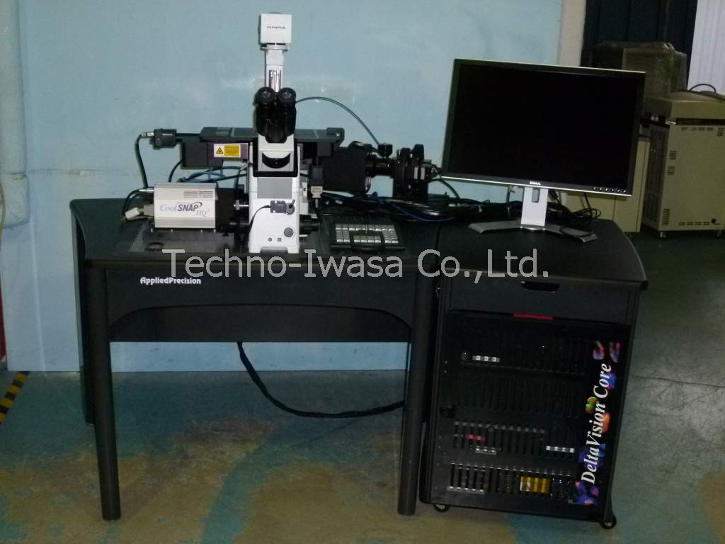 �����ݸތ��w������